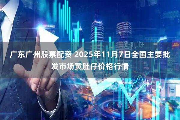广东广州股票配资 2025年11月7日全国主要批发市场黄肚仔价格行情